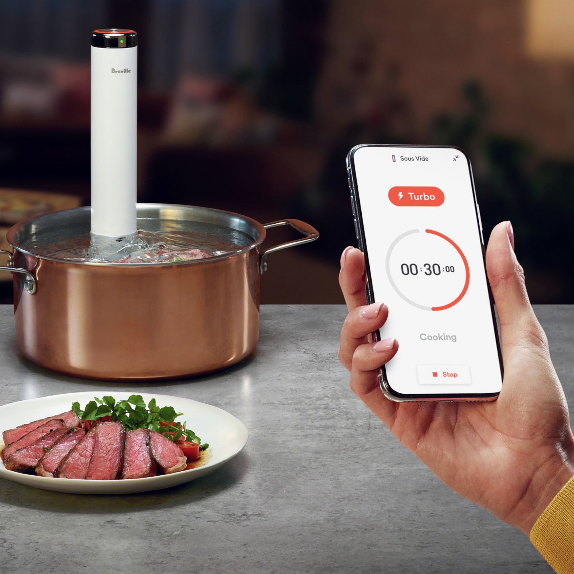 Breville Joule Turbo Sous Vide | Pans on Fire