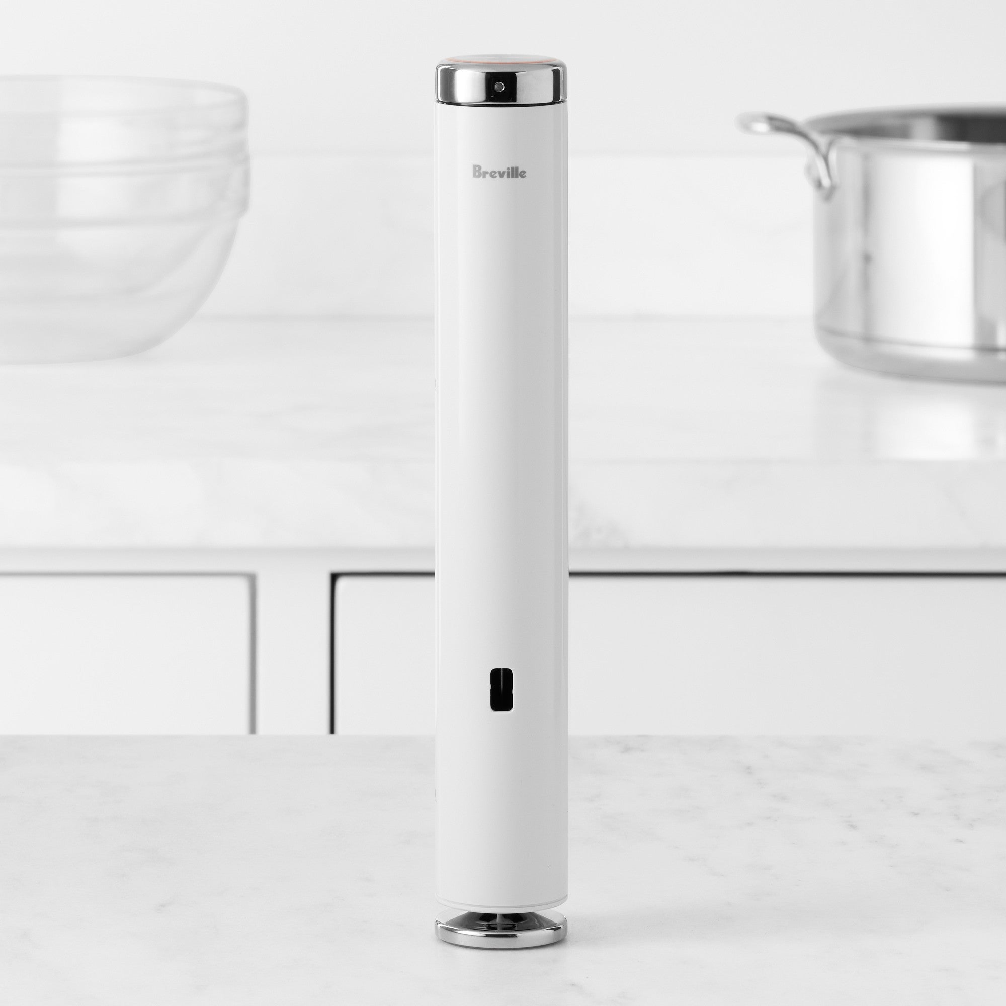 Breville Joule Turbo Sous Vide | Pans on Fire